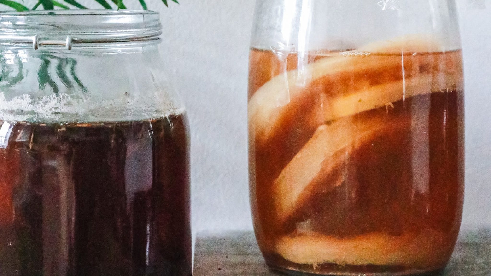 Cómo hacer el scoby para una kombucha casera