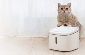 Xiaomi Smart Pet Fountain 4