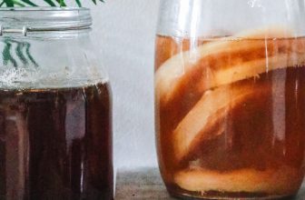 como hacer kombucha casera